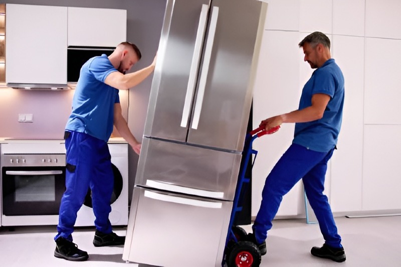 Refrigerator repair in Modjeska